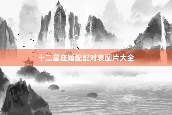 十二星座婚配配对表图片大全