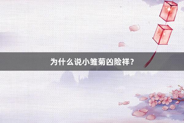 为什么说小雏菊凶险祥？