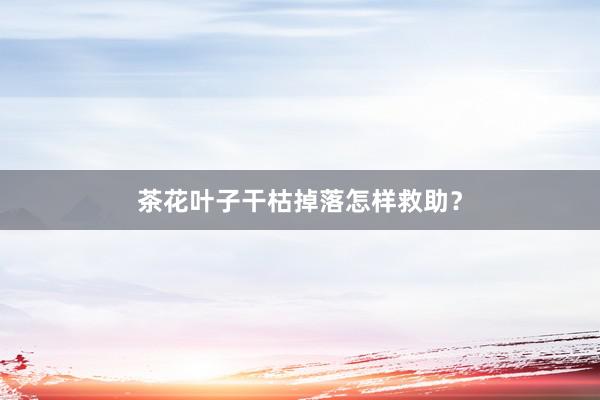 茶花叶子干枯掉落怎样救助？