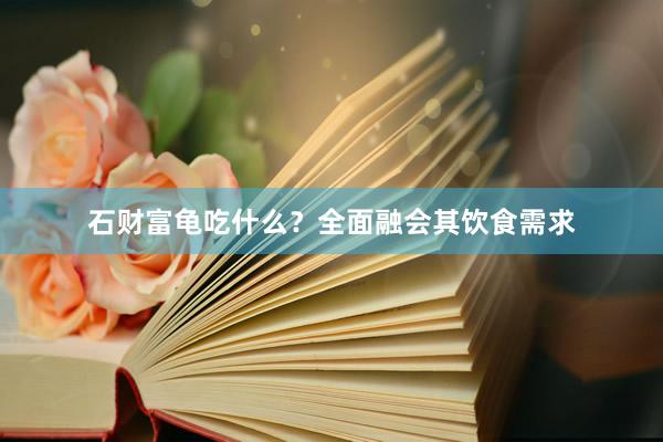 石财富龟吃什么？全面融会其饮食需求