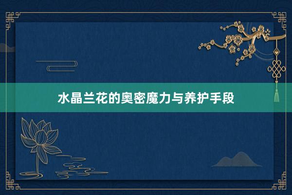 水晶兰花的奥密魔力与养护手段